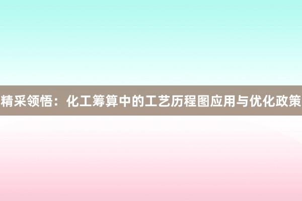 精采领悟：化工筹算中的工艺历程图应用与优化政策